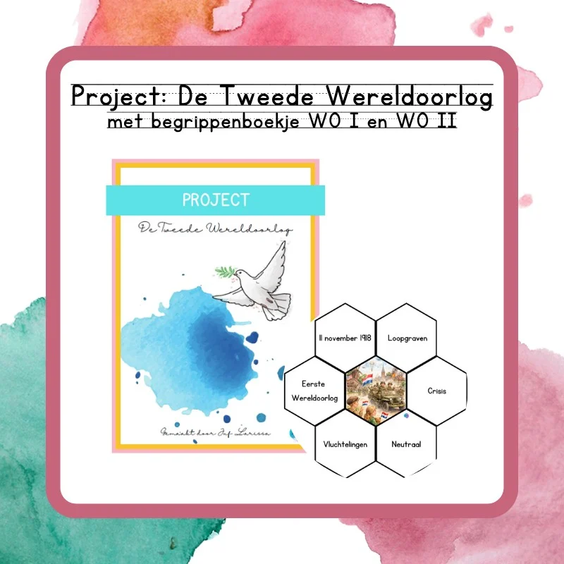 Project De Tweede Wereldoorlog + Begrippenboekje WO I en WO II