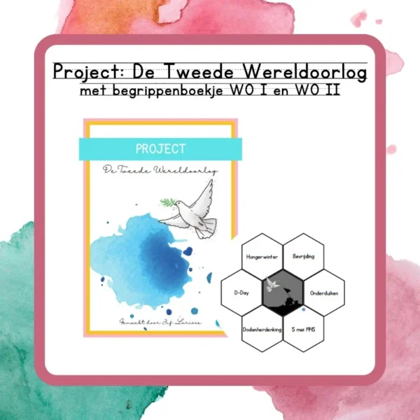 Project De Tweede Wereldoorlog + Begrippenboekje WO I en WO II